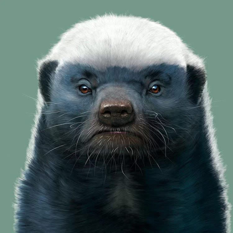 Nghiazzz
